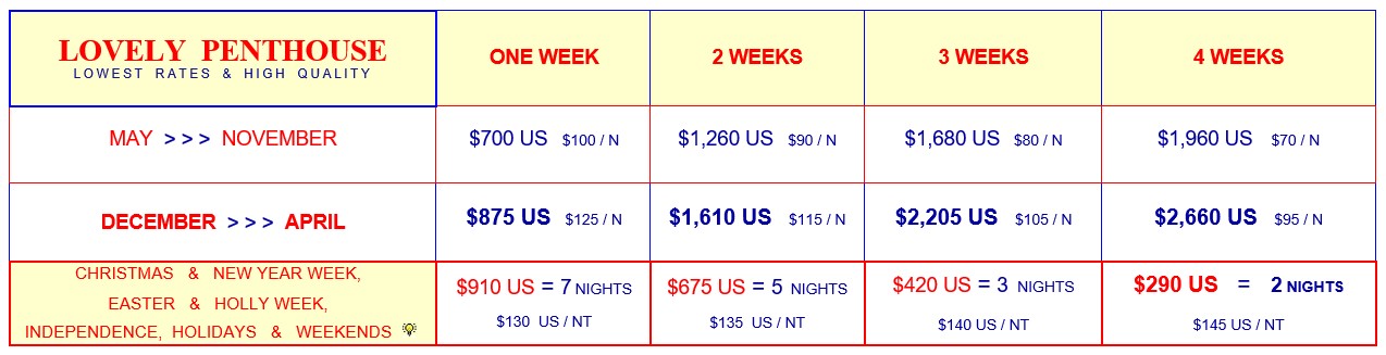 lovely-penthouse-for-rent